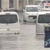 【雑記】愛媛県松山市が土砂降りで「まるで魚になった気分だよ」とか思ってたら、車が水没しそうになり、知らないおばちゃんに１０００円もらった話。