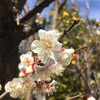 大切にしたい感覚。