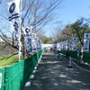 熊本城特別公開