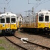 琴電琴平駅近くで同じ四電エナジーラッピング電車同士のすれ違いが