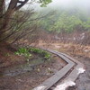 雨の雨飾山（南稜→本峰）