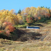 乗鞍岳・三本滝・善五郎の滝