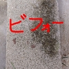 写真で見る「ベンザルコニウム」の苔撃退効果