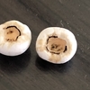 ザリガニの胃石とは？