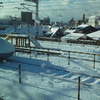 名古屋は雪