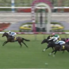 ６月１５日公開予想⇒複勝７００円、単勝４５０円的中！