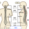 約二年ぶりのMRI検査！最悪の体調だが病変は縮小しているので入院回避！。嬉しいけど複雑…？