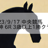 2023/9/17 中央競馬 阪神 6R 3歳以上1勝クラス
