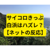 サイコロきっぷ、白浜はハズレ？？？【ネットの反応まとめ】