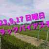 2023,9,17 日曜日 トラックバイアス予想 (中山競馬場、阪神競馬場)