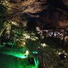 【京都】圓徳院の夜間特別拝観