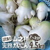 岐阜県飛騨市の秘境 山之村地区 寒熟だいこん どこで売ってる？