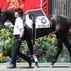 ジークルーネ近況(24年7月10日)