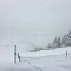 湯沢1泊2日☃️（1月22日 かぐらスキー場 田代エリア）