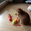 ハナさん、濡れ衣(・・;)