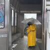 無料の楽しみ