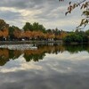 【都内】鯉釣りが出来る公園巡り！【①浮間釣り堀公園】のべ竿で狙う！ 赤い彗星の正体とはΣ(ﾟДﾟ)