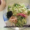 野菜たっぷり冷やし中華