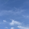なにがでる？