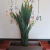 檜扇の生花