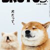 【柴犬好き限定】フォローしておくべき！癒し度MAXな柴ワンコたち。