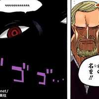 ワンピース 藤虎イッショウの 正体 がヤバすぎたｗｗ ズシズシの実 能力強さまとめ 十二支仲間説 ドル漫