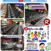 岡山でのイベント用パイプ椅子のレンタルは岡山レンタルサービスへご相談下さい