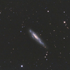 NGC3003 <Leo Minor>