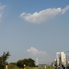 今日のウォーキングはバテたな。最後はかなりスピードダウンした。真夏か。