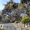 ２．２８（水・晴れ）女子サッカー、変な国の変な国民。