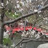 北区の「友禅流し」、そしてスマホ紛失