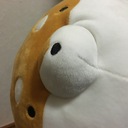 持たざる者が時間を武器に金持ちになる