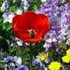 安芸の宮島・萩・津和野　
