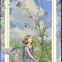 🌿ナチュラルフラワー🦋💠