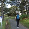 またやってしまった！　もう２週間さぼってる！