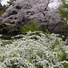 創造の森「石川県林業試験場樹木公園」