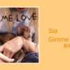 【歌詞・和訳】Sia / Gimme Love