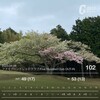 好事魔多し！調子がいいはずなのに信じがたいミスのOB 3発に沈む（ファイブハンドレッドC BG）