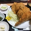 チキンカツと言う名の試練。