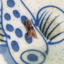 春雨小雨　雑記