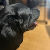 リハビリに同席