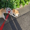 なんて事を！
