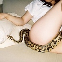 24歳OLのチグリジア