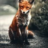よく喋るから元気なのか、元気だから喋れるのか