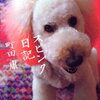 キャラクター精神分析 斎藤環 Rhの読書録 キャラクター精神分析 斎藤環 Rhの読書録