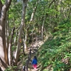 山行記　若山　ちょこっと登山