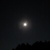 今夜の月