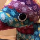 チームはなちゃんのウォーキング日記