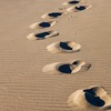 GitHub Actionsのトリガーのイベントworkflow_dispatchはdefaultブランチと関連している罠