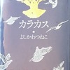 カラカス　よしかわつねこ詩集